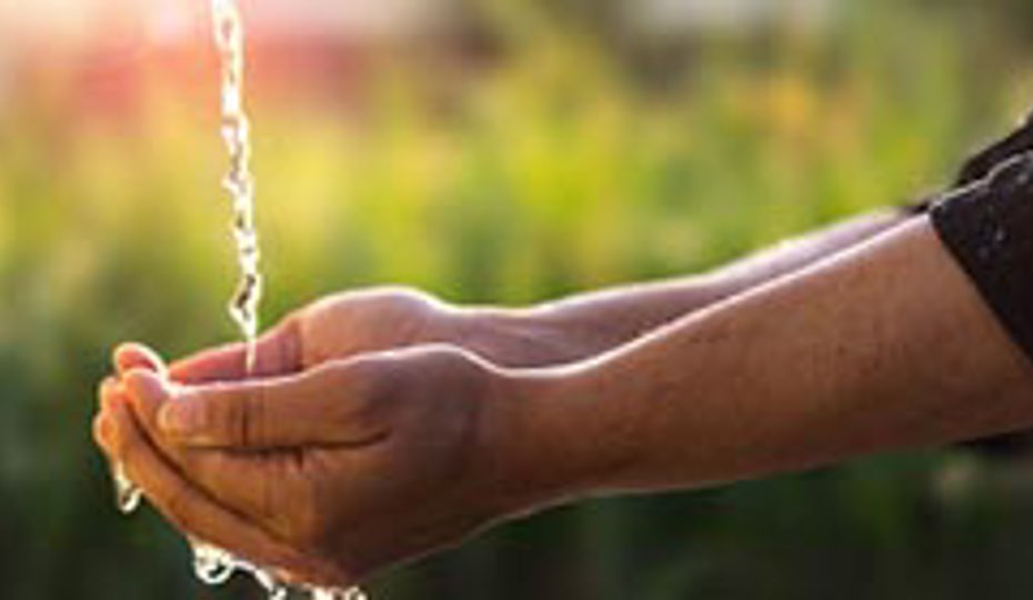 A person holds out their hands for water